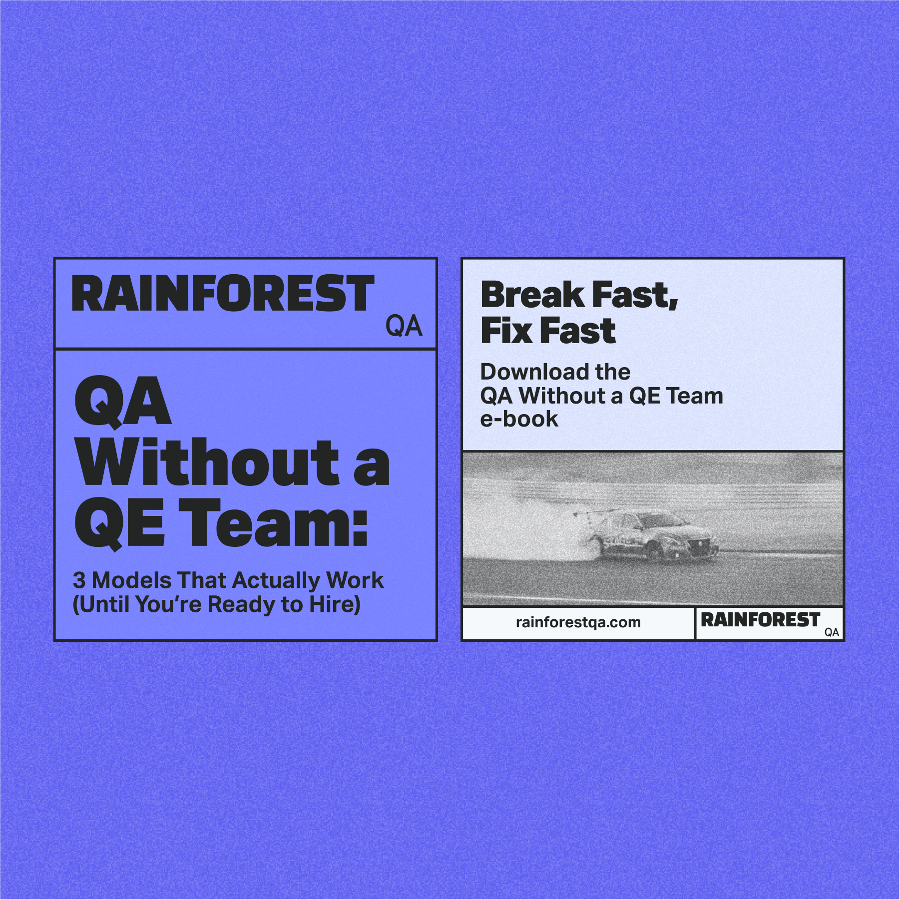 Rainforest project frame 03